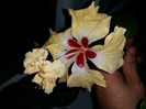 20151005_000421