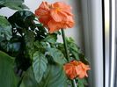 20151002_132640