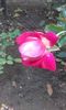 20151004_172233