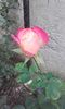 20151004_171742