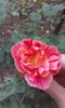 20151004_171817