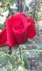 20151004_171844