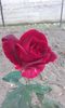20151004_171919