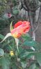20151004_171932