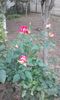 20151004_171956