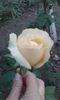 20151004_172138