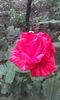 20151004_172150