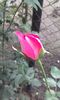 20151004_172206
