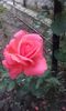 20151004_172226