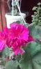 20151004_172249