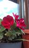 20151004_171634