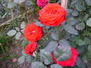 DSC01802