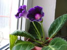 DSC01804