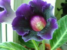 DSC01805
