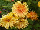 5 oct 048