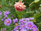Jubilee Celebration