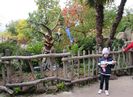 IMG_9250