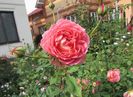 Jubilee Celebration