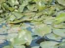 DSCN3046[1]