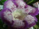 P8210427