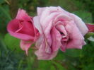 P7300150