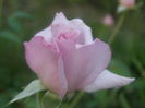 P7300170