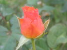 P7300174