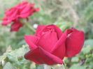 P7300178