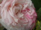 P7300179