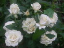 P7300184