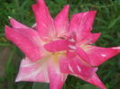 P7300151