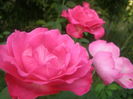 P7300153