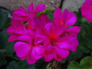 DSC04170