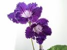 20151006_162622