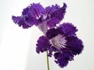 20151006_162703