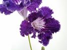 20151006_162738