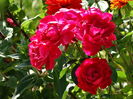DSC00570