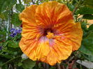 DSC00891
