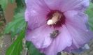 20151006_161238