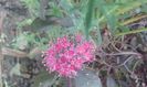 20151006_161338