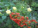 DSCN0548