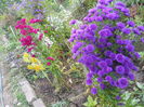DSCN0551