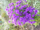DSCN0552