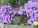 DSCN0524