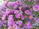 DSCN0525