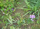 DSCN0530