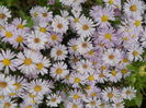 DSCN0531