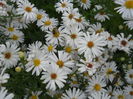 DSCN0533
