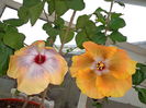 DSC00834