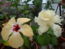 DSC00840